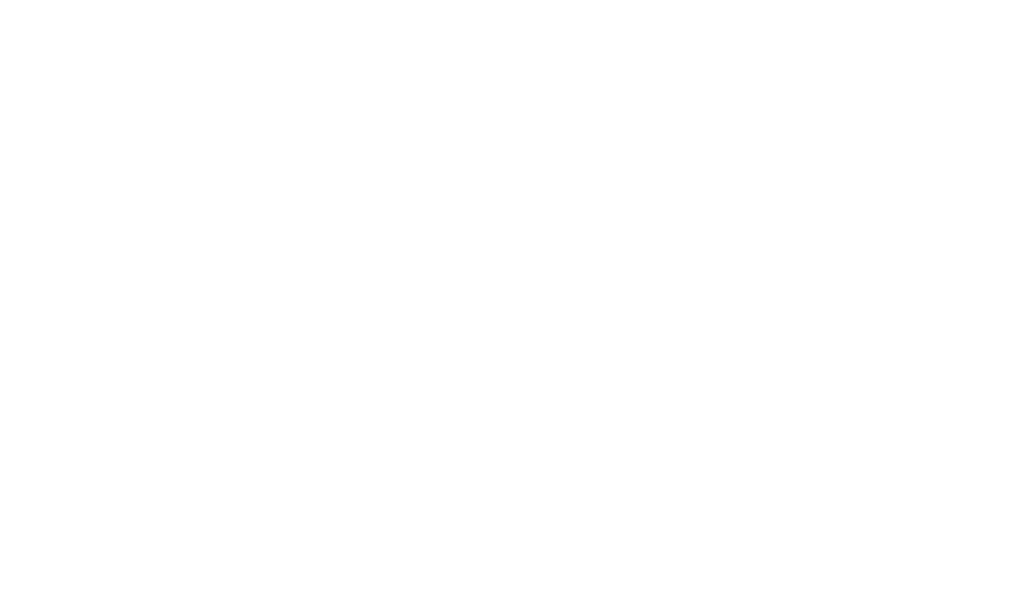VTI A/S team