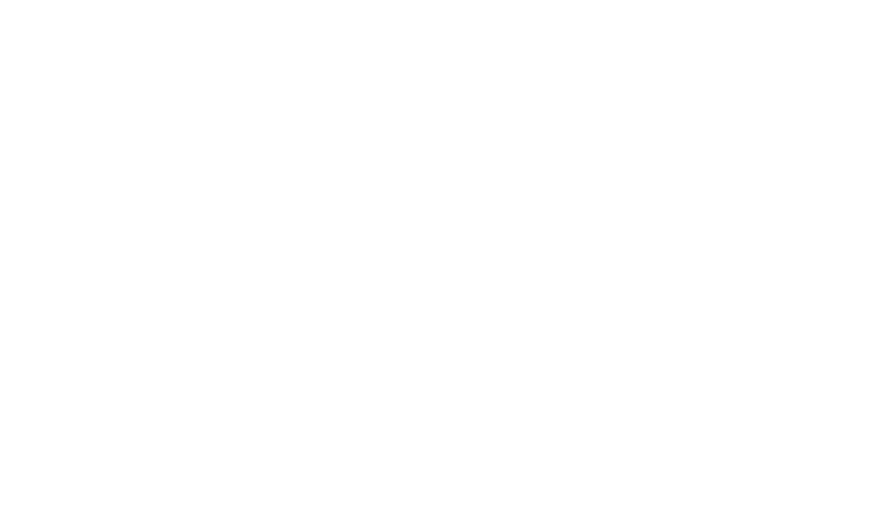 VTI A/S